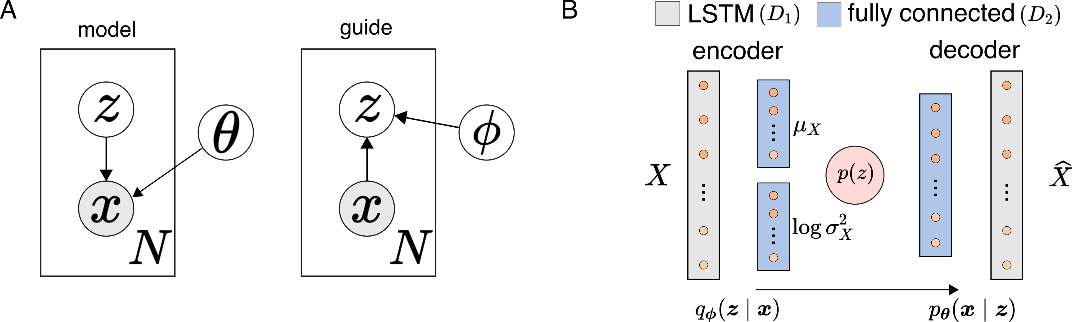 Calcium Imaging Analysis