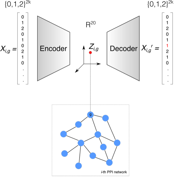 Graph neural network