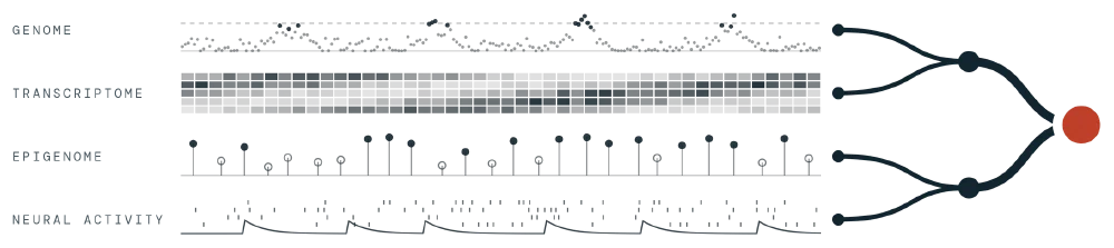Four data tracks, labelled genome, transcriptome, epigenome and neural activity, converging into a single point
